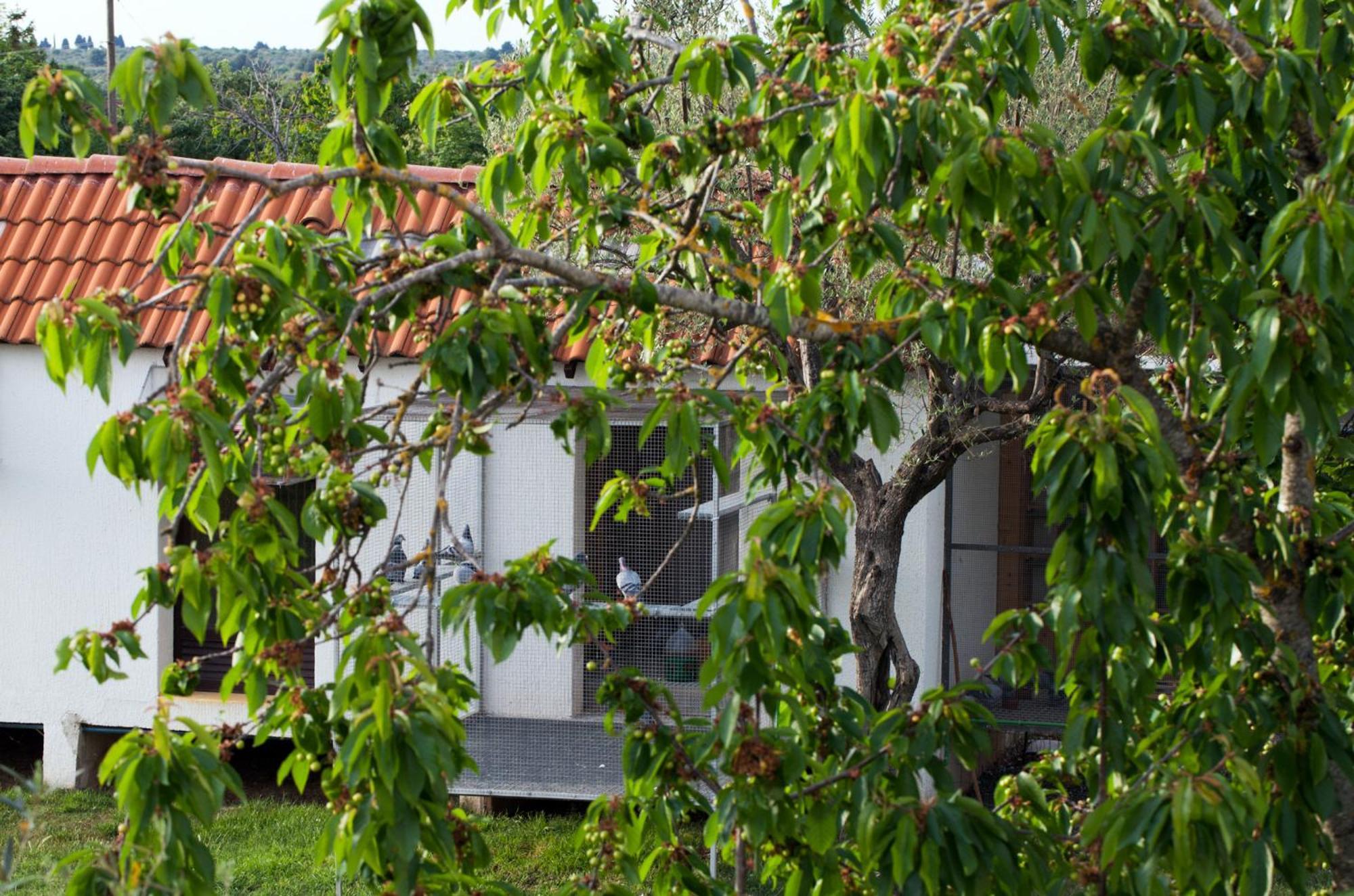 B&B Moderno Fažana Rom bilde